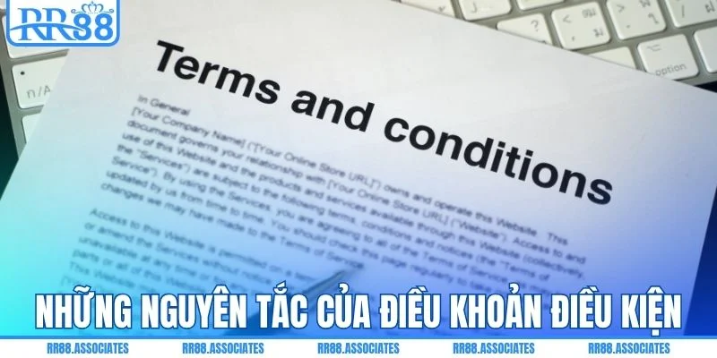 Các nguyên tắc quan trọng của điều khoản điều kiện