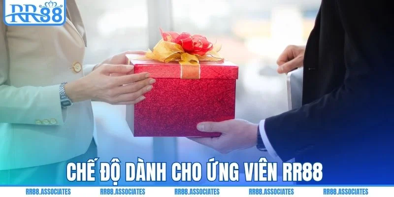 Chế độ dành cho ứng viên RR88