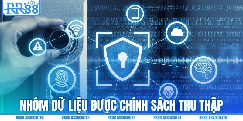 Chính sách bảo mật ghi nhận những dữ liệu nào?