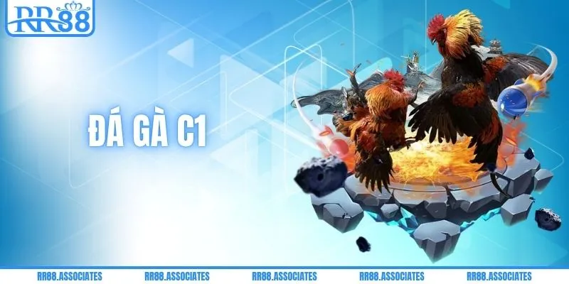 Đá Gà C1 - Kinh Nghiệm Đặt Cược Bất Bại Từ Chuyên Gia RR88