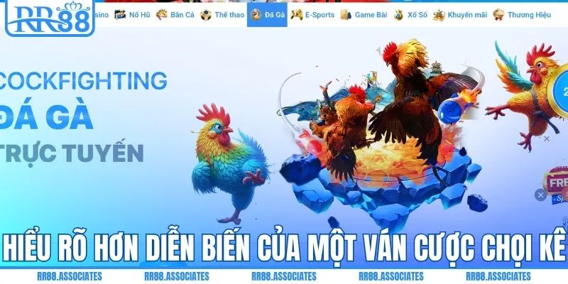 Hiểu rõ hơn diễn biến của một ván cược chọi kê