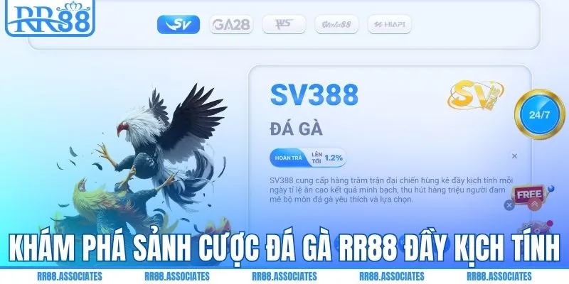 Khám phá sảnh cược đá gà RR88 đầy kịch tính