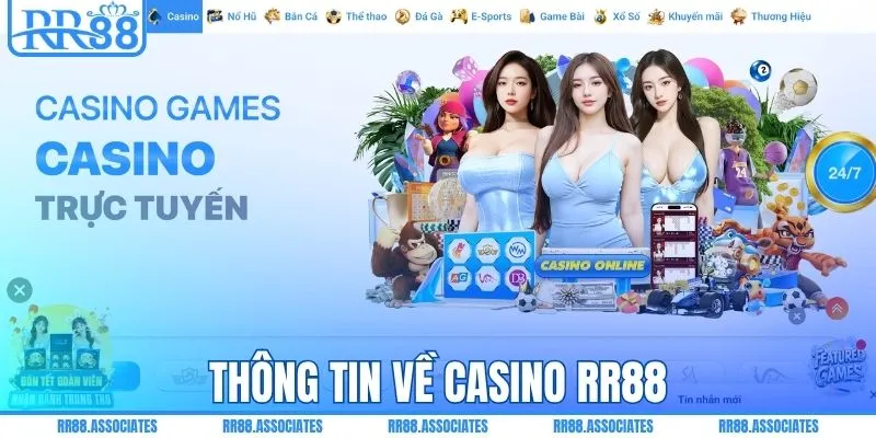 Thông tin về casino RR88