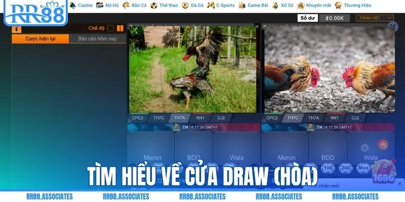 Tìm hiểu về cửa draw (hòa)