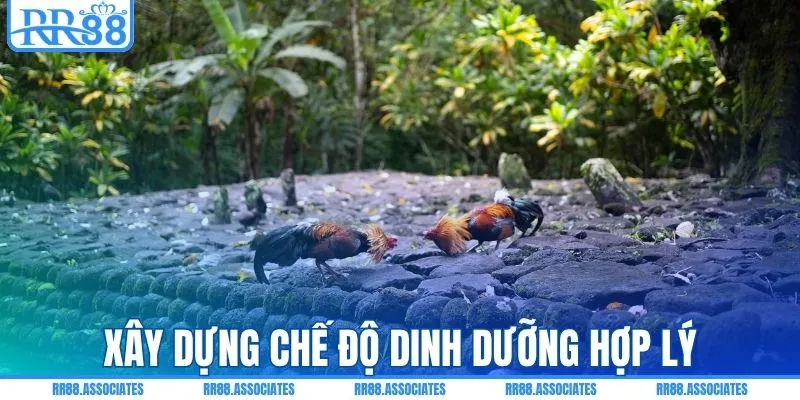 Xây dựng chế độ dinh dưỡng hợp lý
